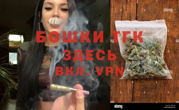 гидра Алексеевка